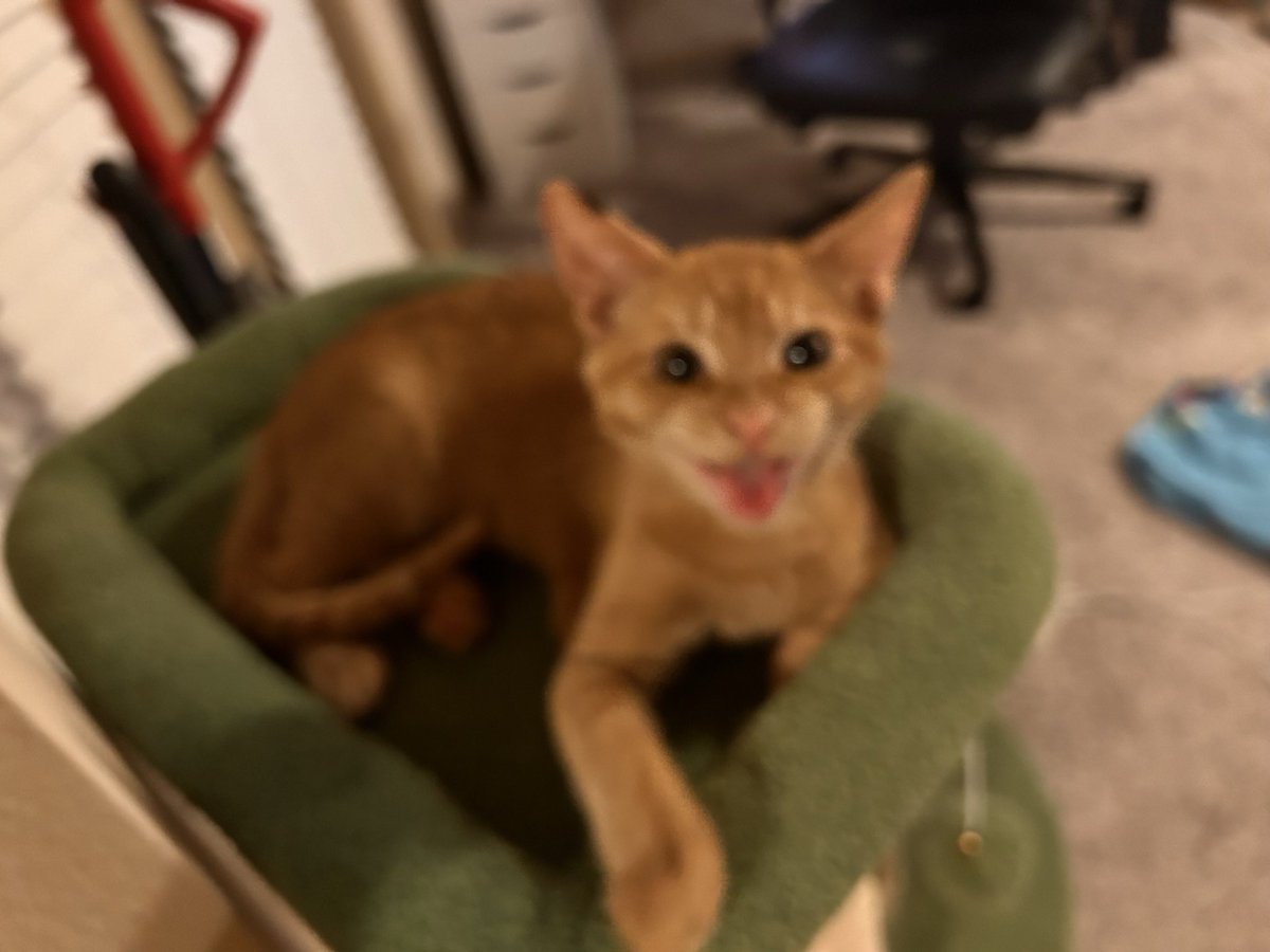 SocksBX's tweet image. the look of someone who just turned my pc off midstream