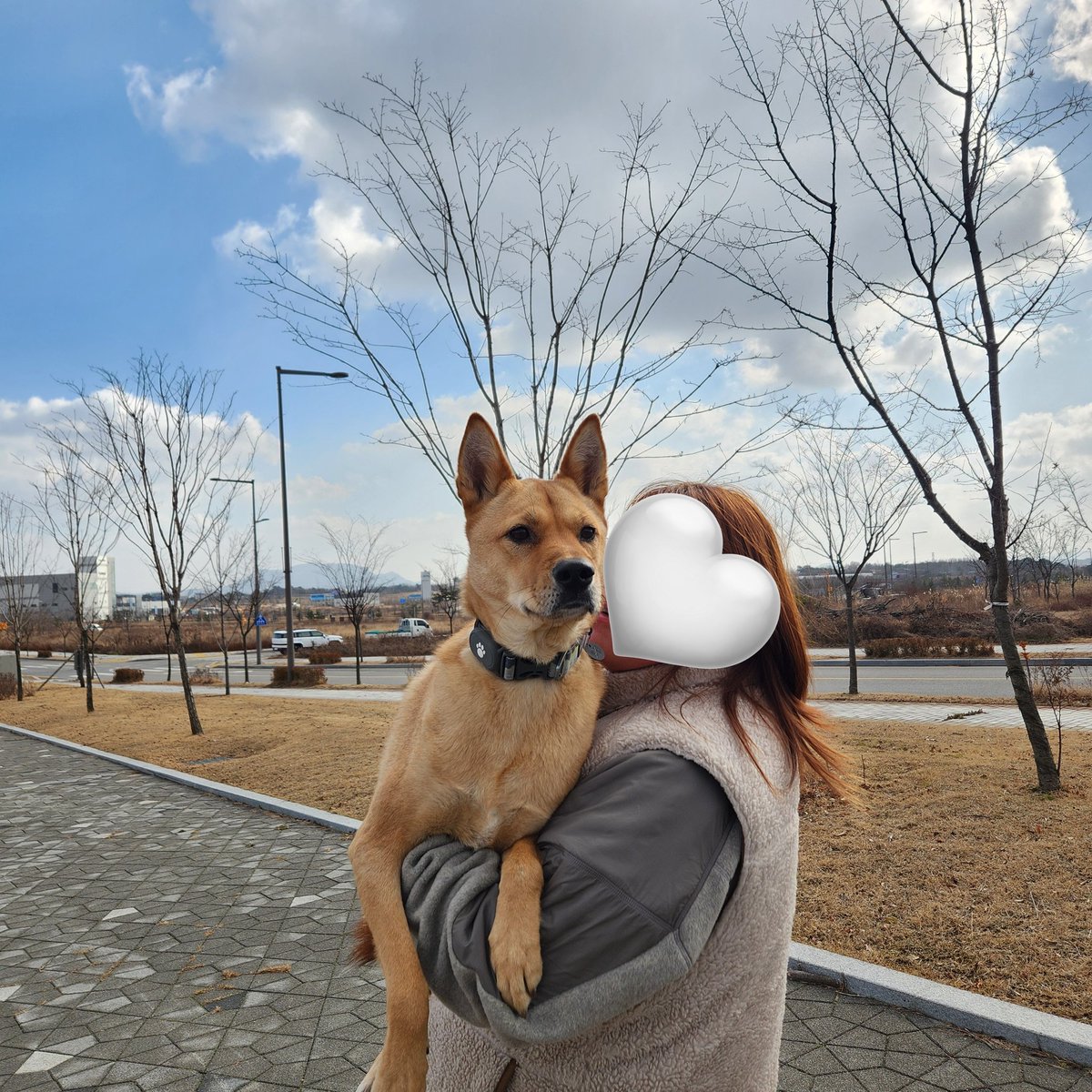 8살이어도 안아죠 강아지