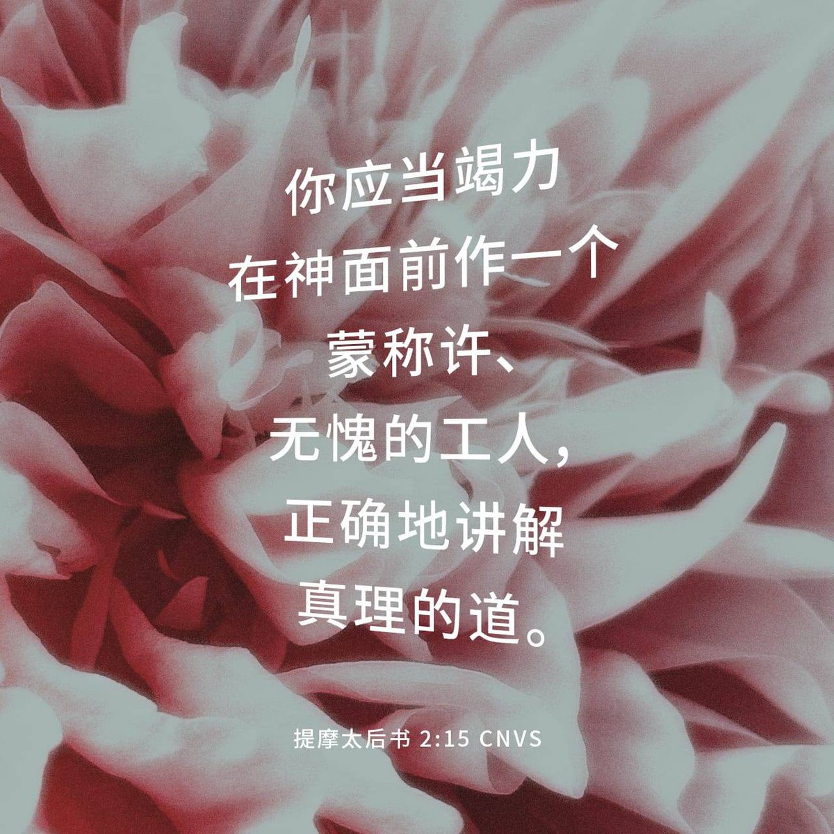 Jetfuchin1's tweet photo. https://t.co/JRdkhgazeO https://t.co/YhOfcTf2LO