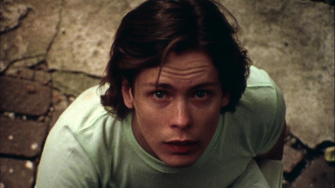 theposthalcyon's tweet image. 