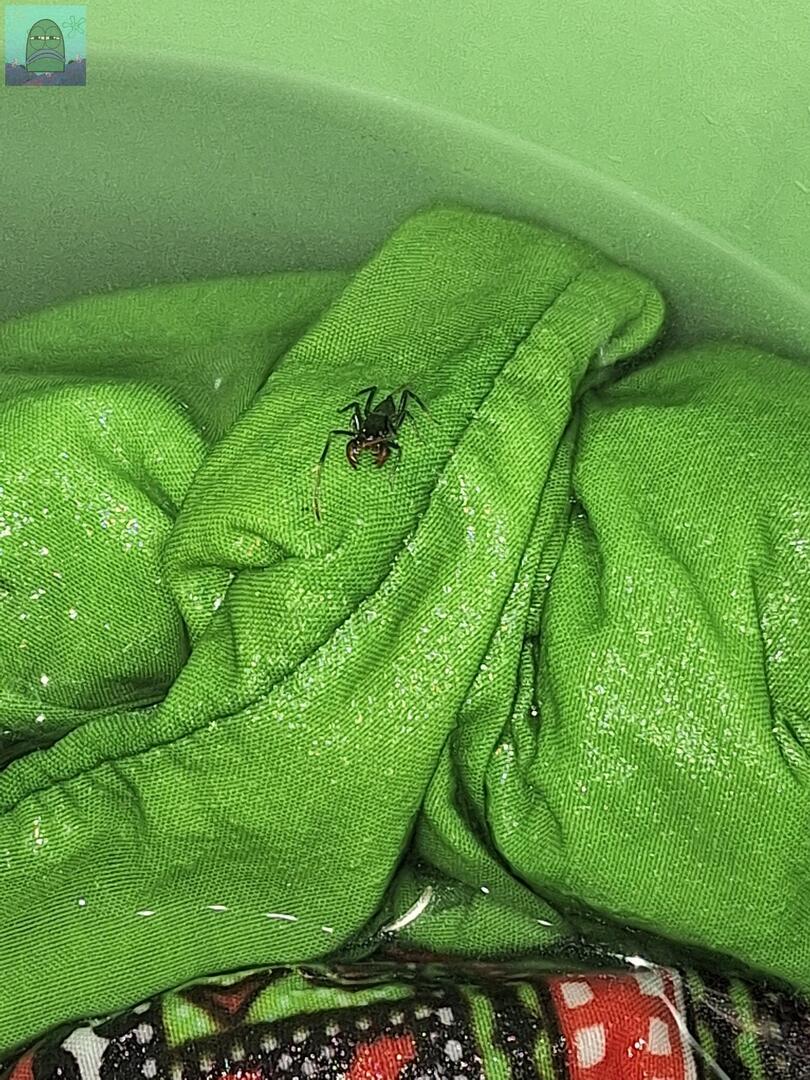 Tanyarl 💚 tweet media