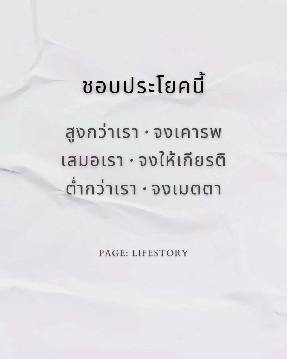 🐳 ☯️ ฮูหยิน 🌻🐑🌲 tweet media