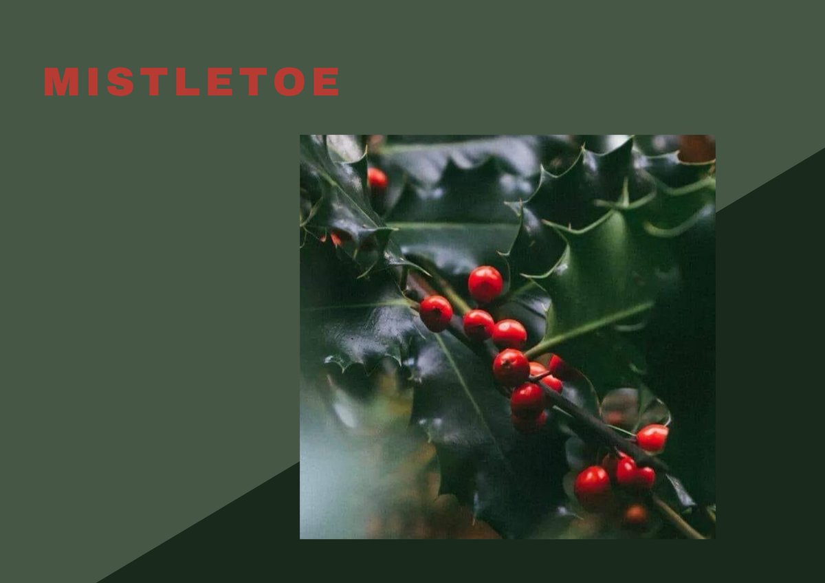 olympusbls's tweet photo. ⠀🎄⠀ ⎓ ⠀𝐌𝐈𝐒𝐓𝐋𝐄𝐓𝐎𝐄   by   𝗝𝗨𝗦𝗧𝗜𝗡 𝗕𝗜𝗘𝗕𝗘𝗥⠀ 𓈒𖤥𖥧

tema: favs no natal
link: https://t.co/D4EOw07nIA https://t.co/iBK6M9ZQz2