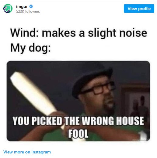 My house - every night