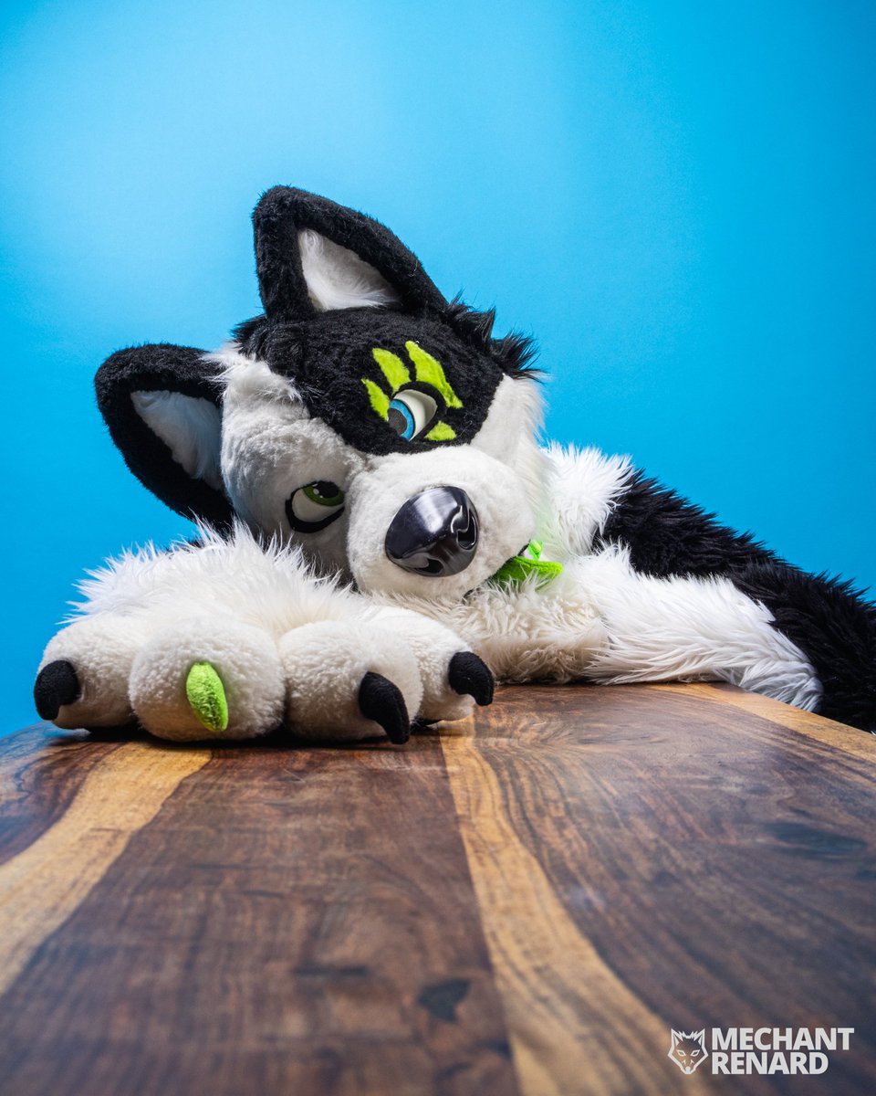 KybaCWC's tweet image. I hope you had a merry Christmas. It's the last #FursuitFriday of the year. I want one last drink before New Years 🥳
🪡 by me ^^ CwC
📸 @mechantrenard