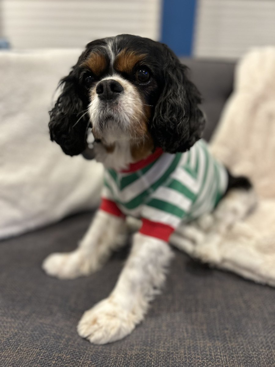 My old Christmas PJ’s still fit!