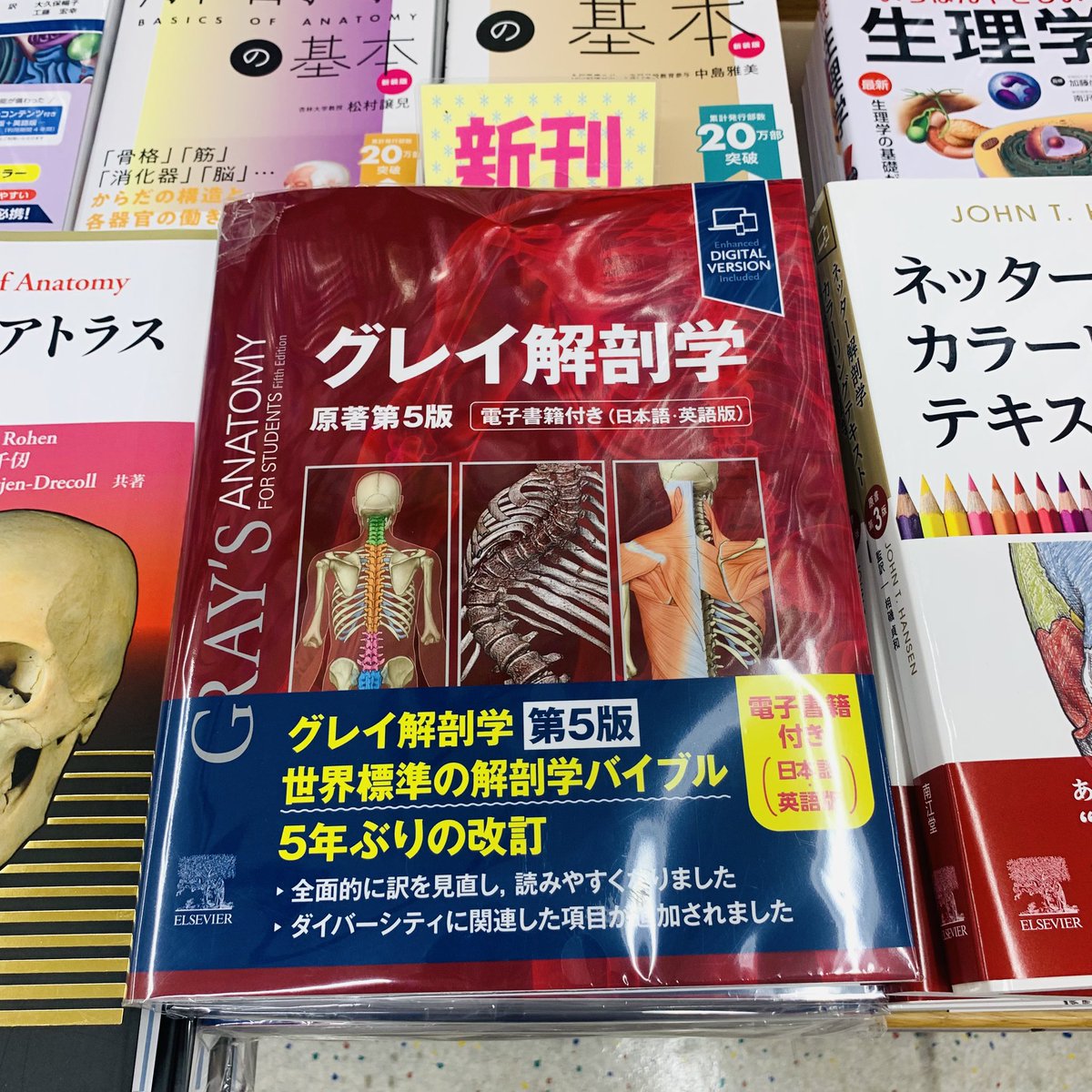 新刊】 『グレイ解剖学 原著第5版』 エルゼビア・ジャパン ¥13,200 約