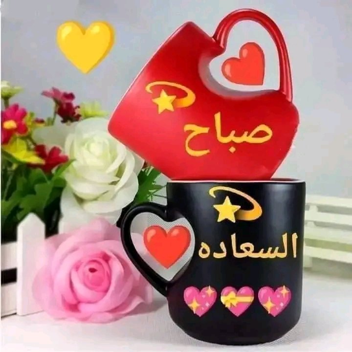HADEEL tweet media