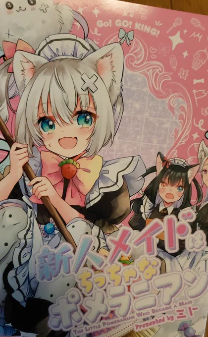 ポメの本届いたぞー✨
表紙のピンク色めちゃくちゃ鮮やかだし、本文もキレイ‼️
ありがたやー! 