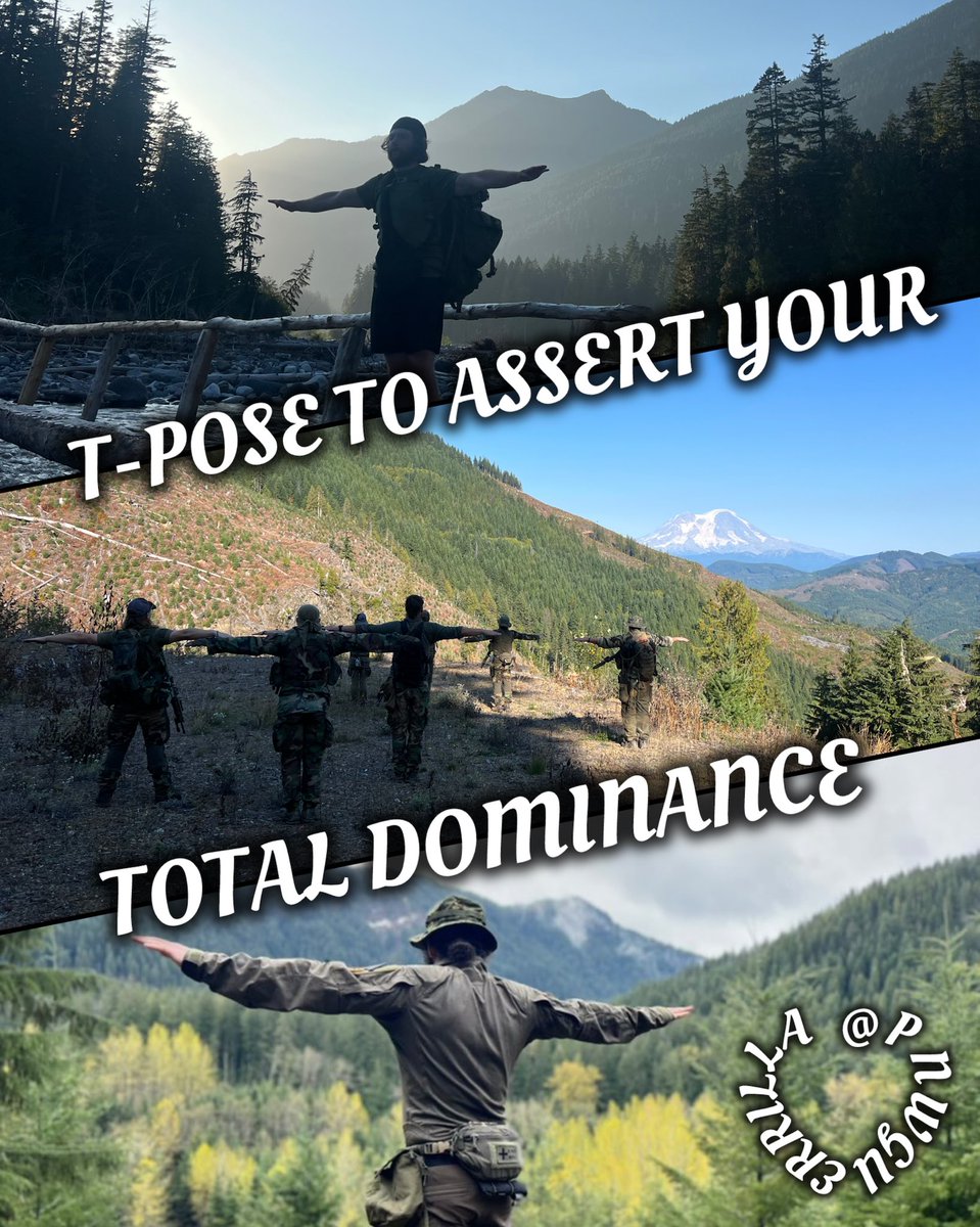 notPNWGUERRILLA tweet media