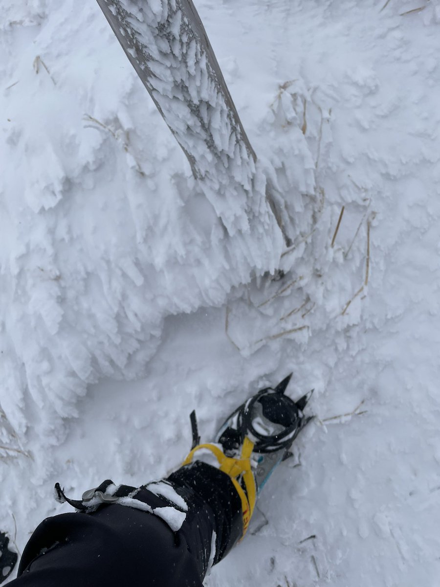 雪山サイコー✨️