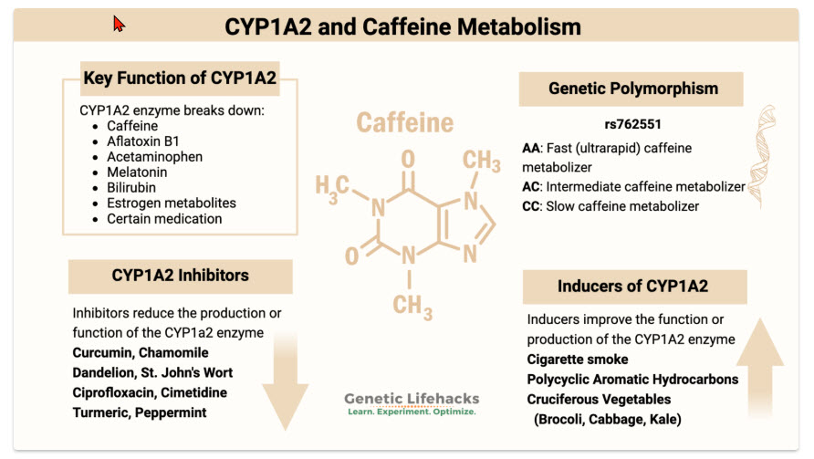 pbdsllc's tweet photo. @PittGuru Your genes play a big role in caffeine metabolism.  I learned a few things after running my WGS(Whole Genome Sequencing 30X)
@GeneticLifehack https://t.co/vPkrzYIRkP
