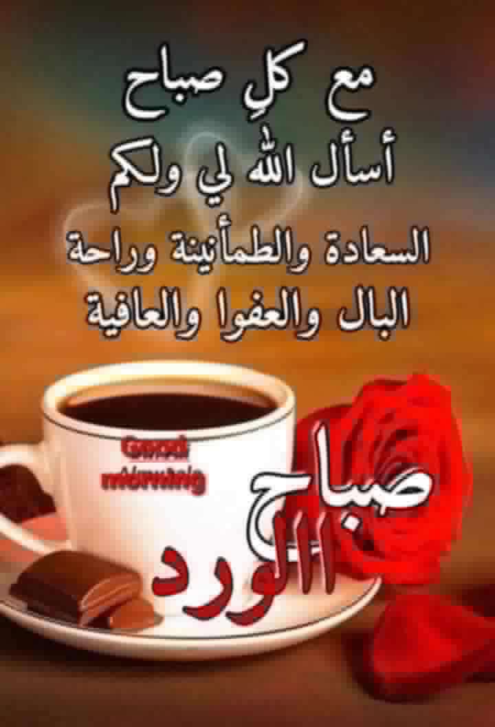 alsyl_636's tweet photo. https://t.co/q3ZvVQwNN9