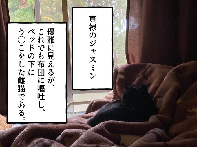 でも今までうちにいた子で最可愛ですの。 