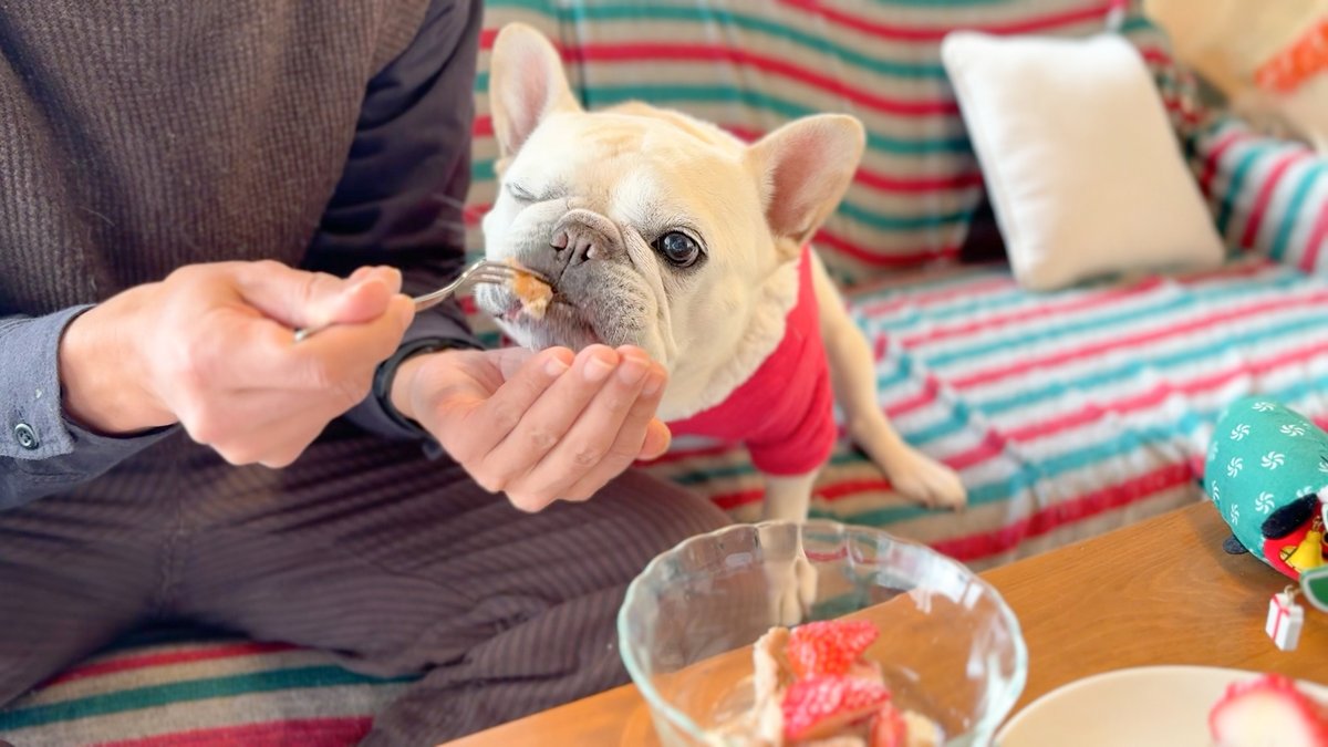 フレブル 服 ハンドメイド りんごあめメッシュタンクトップ フレブル