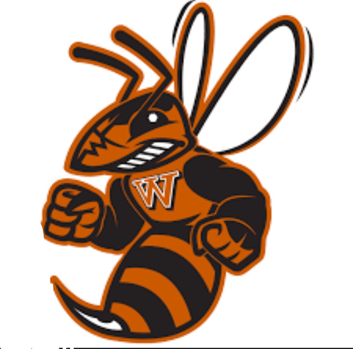 Blessed to have received an offer to play football at Waynesburg University🙏🏾. Thankful to the coaches who helped me get here. #AGTG