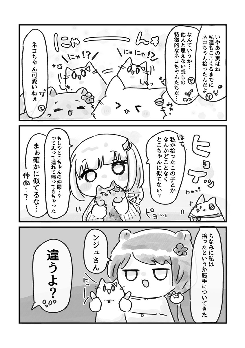 サンプル🐈 