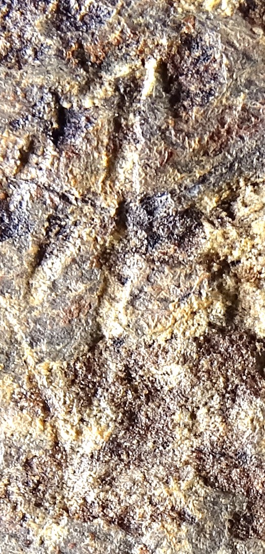 joanferrerijane's tweet photo. Tot i l’absència de dualitats explícites, la paleografia, amb variants complexes de ka, ki i ti, indica que molt probablement aquesta inscripció usa l’escriptura dual i que per tant,  pertany a l’estrat més antic d’inscripcions ceretanes entre el s. IV aC i mitjan s. II aC
4/10 https://t.co/eh8qqrWFUh