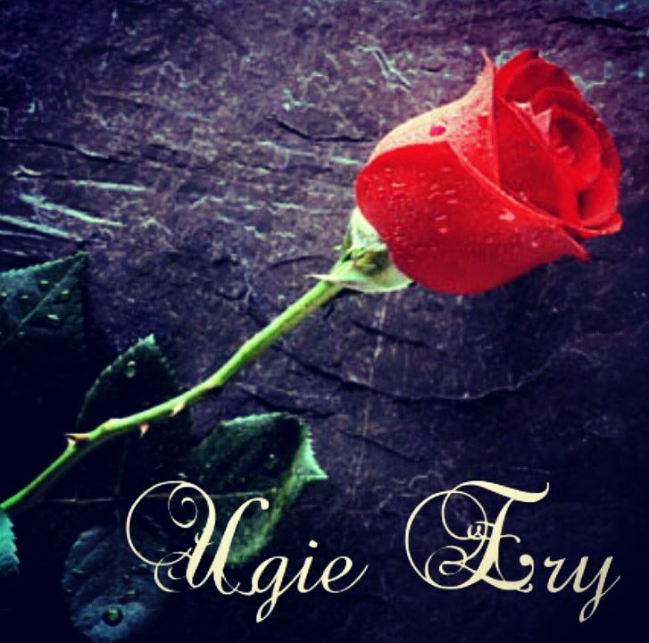 Terkadang seseorang tanpa sadar melepas orang yang membuatnya nyaman, hanya demi seseorang yang membuatnya kagum.