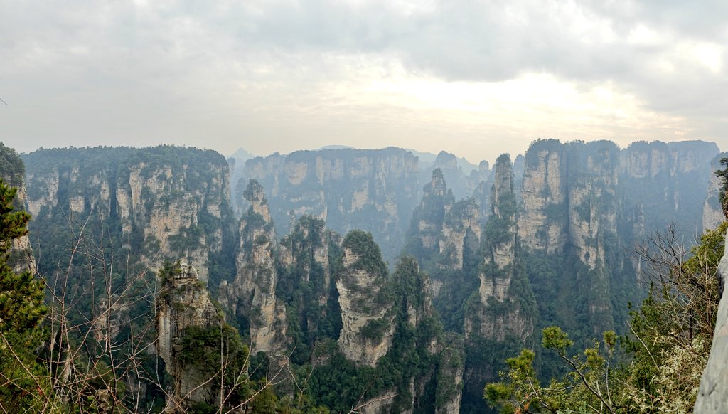 elvsvle's tweet photo. Avatar mountains. #zhangjiajie https://t.co/id99SQKtDq
