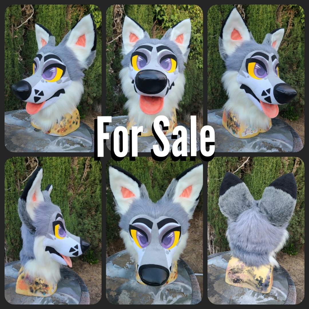 Bellinda tweet media