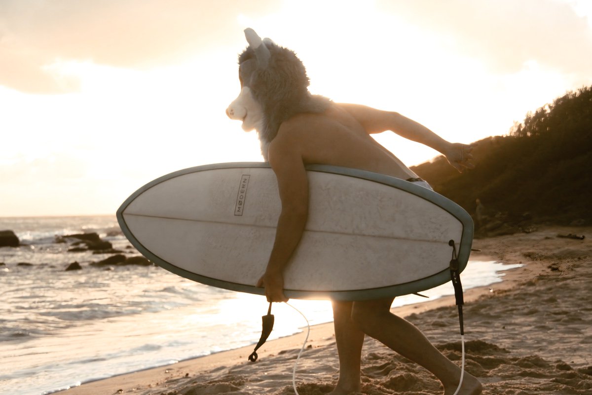 Chasing the swell 🌊