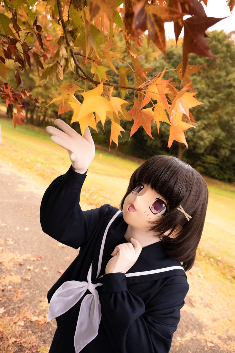 aoi_sailor's tweet image. 四季おりおり2024