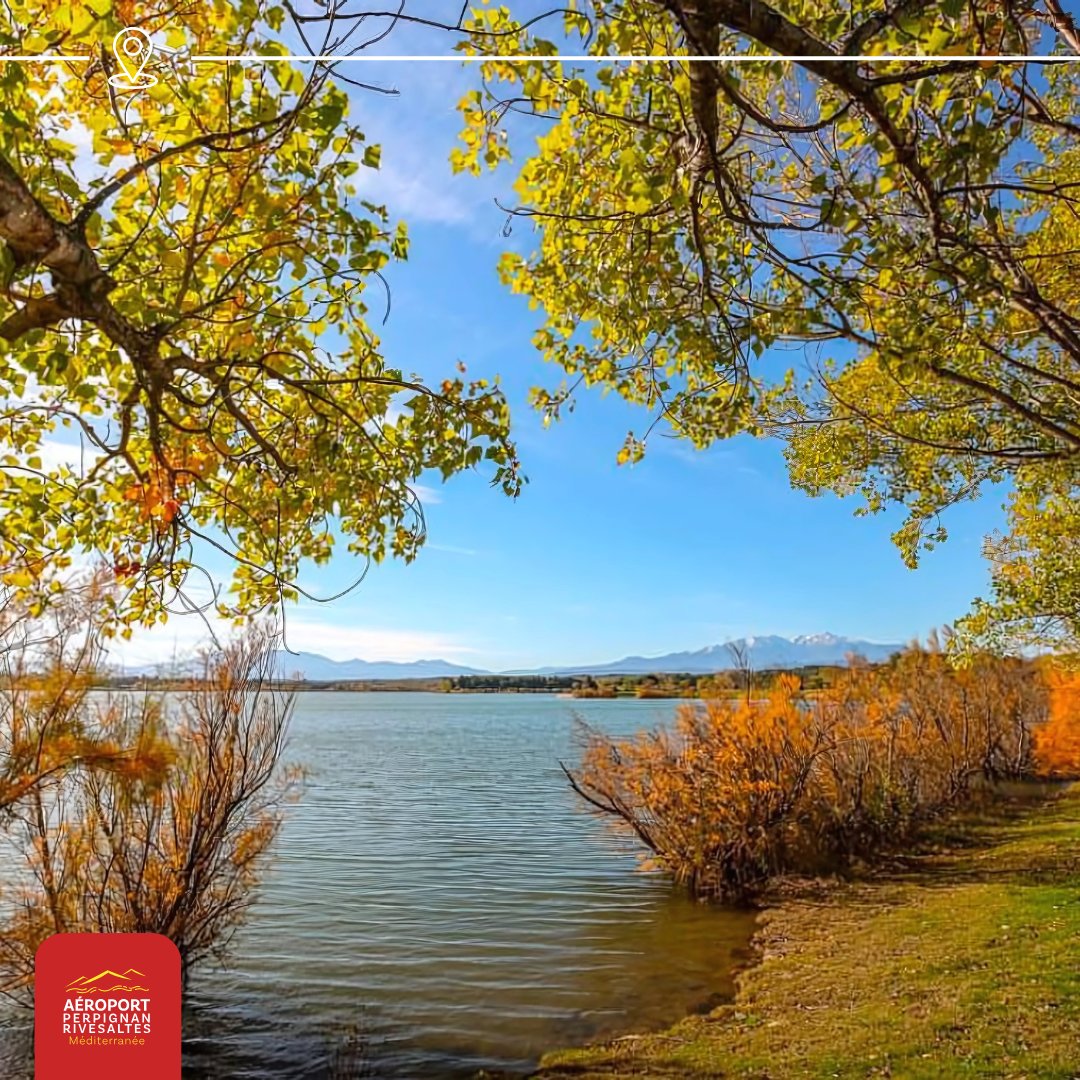 Une balade au lac de Villeneuve-de-la-Raho en hiver est une expérience paisible et ressourçante, idéale pour profiter de la nature dans une ambiance calme et apaisante. 🍂