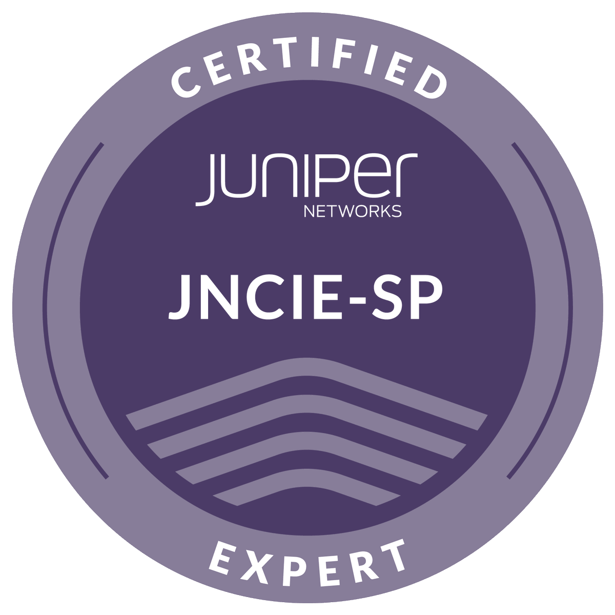 I’m happy to share that  I’ve obtained a new certification: Juniper Networks Certified Expert,  Service Provider Routing &amp; Switching (JNCIE-SP) from @JuniperNetworks  <a href="/JuniperCertify/">Juniper Networks Certification Program</a> 
Ending the year 2024 on a high!
#JNCIE #JNCIE_SP #JuniperLife