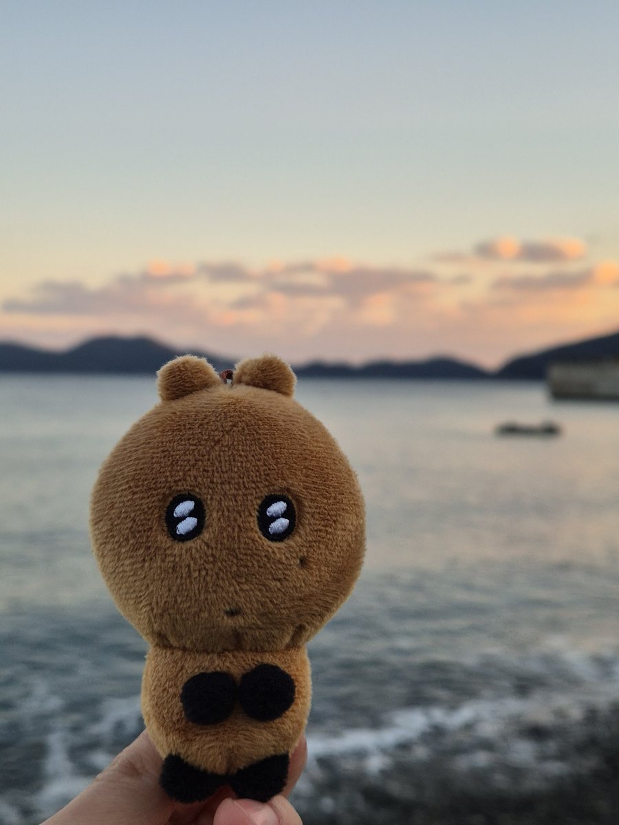 jjjiskjk's tweet photo. 숭카 데리고 여행ㅎㅎ 귀여우 https://t.co/fev6geCASP