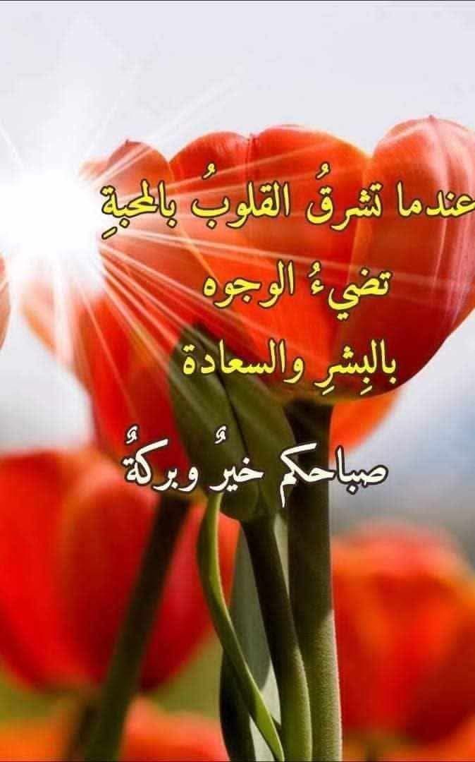 إشراقة صباحية محسوبة