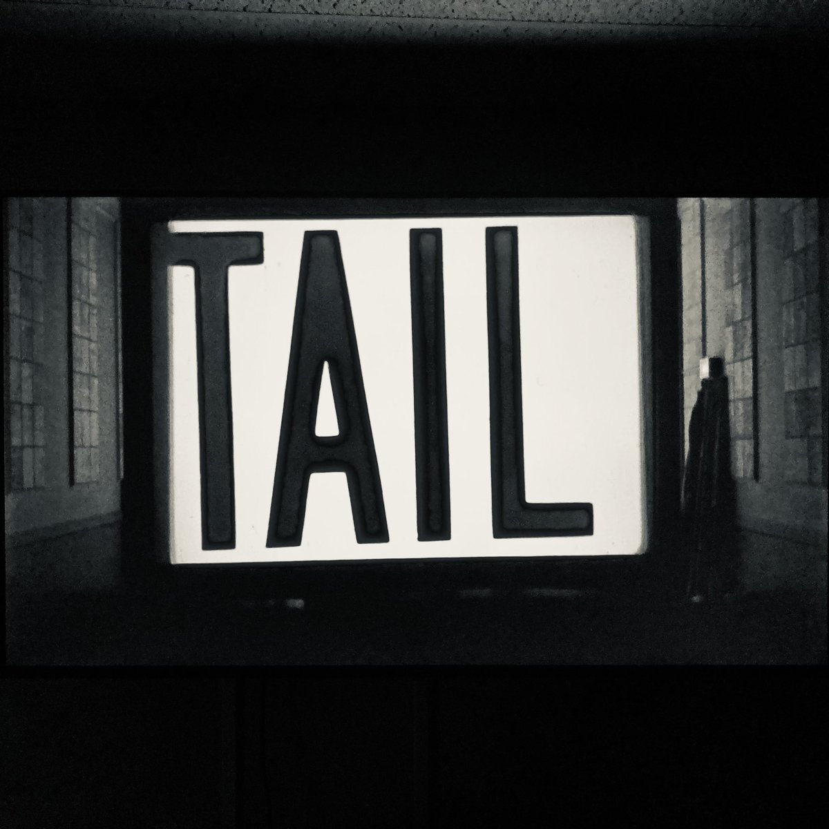 Common Name tweet media