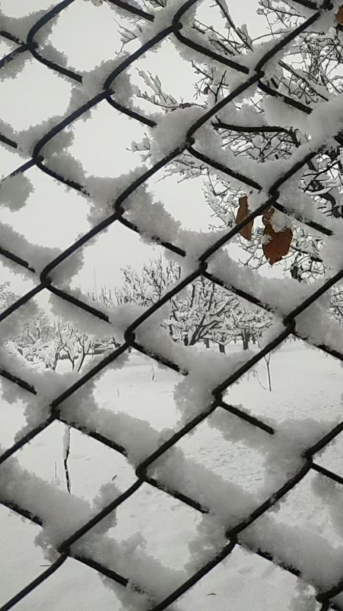 mirmohammadomer's tweet photo. ❄️❄️❄️ https://t.co/HAKUWsFTnJ