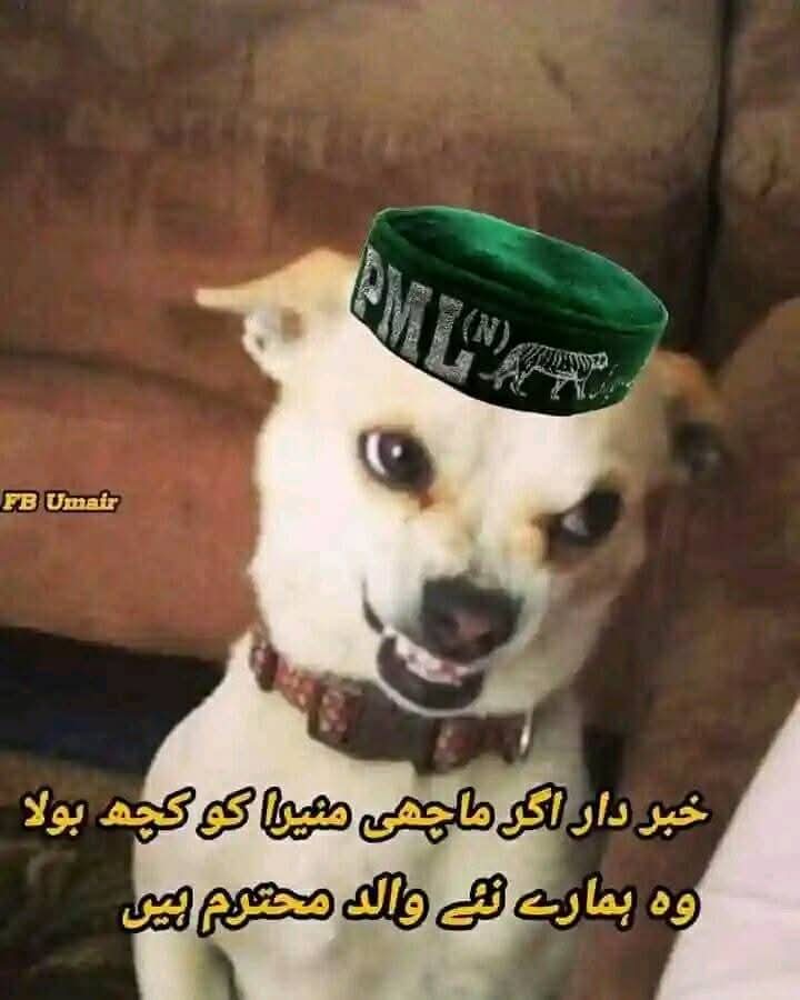 trainer_salman's tweet photo. @MASOODAQ216 @MashwaniAzhar 😂 https://t.co/nVGrR1gErI