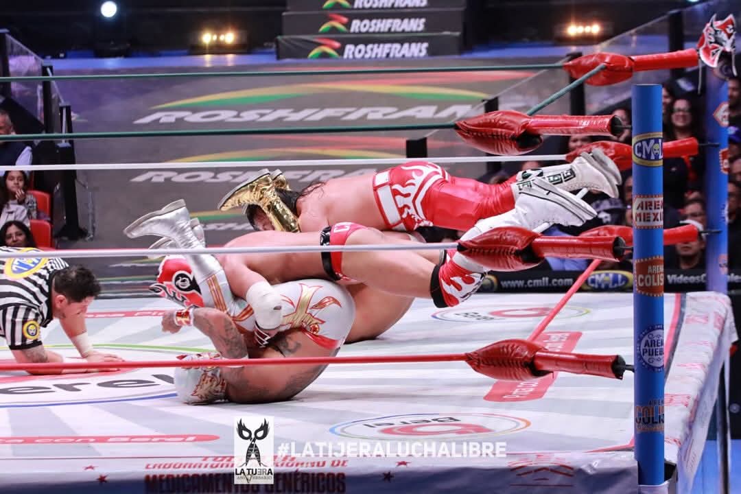LaTijeraLucha's tweet photo. Alumno supera al maestro❗️
La #GranAlternativa en su segunda edición del 2024 es para #Legendario y su padrino #Templario al dar cuenta de #Crixus y #UltimoLegendario, siendo estos últimos quienes dominaron gran parte de la batalla, pero no lograron... https://t.co/vscezhRH3u