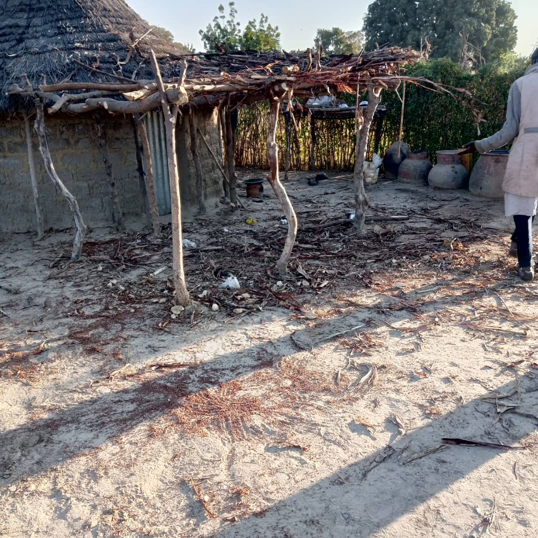 EchosTaibotak's tweet photo. 🚨 🇨🇲 Attaques d'éléphants à l'E-N : Après Dangmiguiri, le village de Daïba est dévasté dans la nuit du 24 déc. . Habitations, cultures vivrières (haricots, pastèques, karal..) et greniers détruits. La menace persiste.
 #Cameroun #éléphants #Kalfou https://t.co/ZCPkXFXSuI