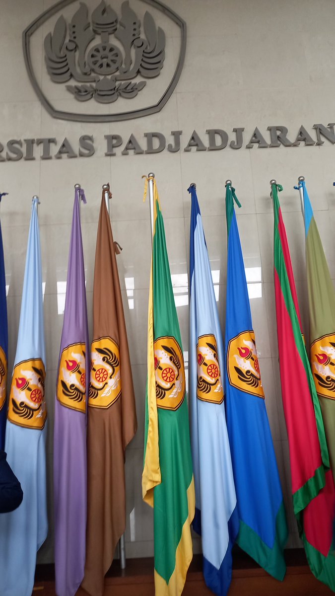 cimy 🧸 tweet media