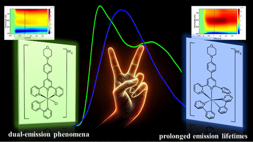 bhkenlo's tweet image. Effect of the Appended Morpholinyl Group on Photophysical Behavior of Mono- and Bis-cyclometalated Terpyridine Iridium(III) Chromophores | Inorganic Chemistry pubs.acs.org/doi/10.1021/ac… Palion-Gazda, Machura, and co-workers @InorgChem #iridium #biscyclometalated #tpy #morpholinyl