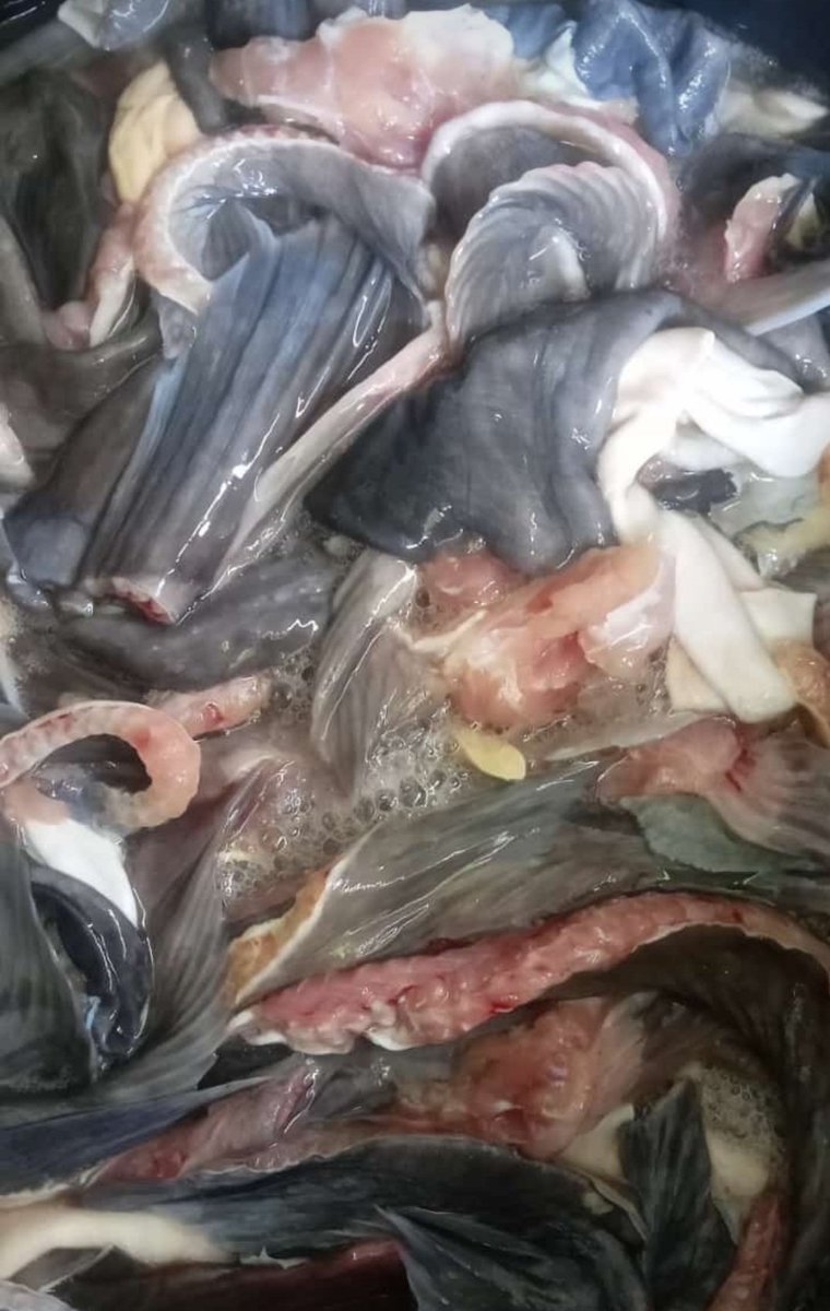 OctasariW's tweet photo. Rabu (11/12),Octasari Wijayanti, Luhkan Kab.Klaten, mendampingi pengolah Ibu Winarni, Ds Glodogan,melaporkan produksi keripik lele sebanyak 30 pax,dengan harga Rp 25.000/pax
#GiatLuhkanSatminkalTegal #Klaten #Panen #Luhlapor https://t.co/TZx8tnFff9