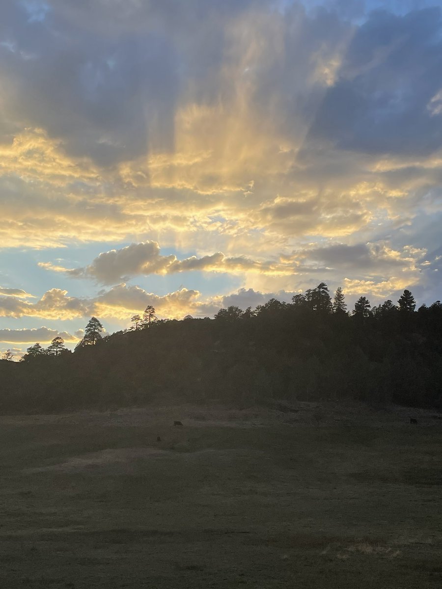 RyanPetty32's tweet photo. Another day! https://t.co/ouQgi0JW1o