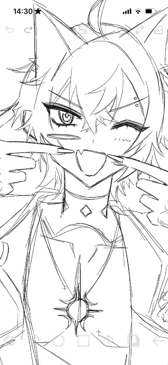 What's going on with XSOLEIL common accessories????