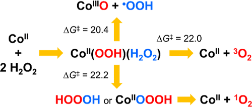 bhkenlo's tweet photo. Cobalt(II) Aqua Complex-Mediated Hydrogen Peroxide Activation: Possible Roles of HOOOH and Co(II)–OOOH Intermediates in Singlet Oxygen Generation | Inorganic Chemistry https://t.co/aGuMseFsMl Chen and Lin @InorgChem #cobalt #aqua #H2O2 #activation #HOOOH #CoIIOOOH #1O2 #DFT https://t.co/BneErozAeZ
