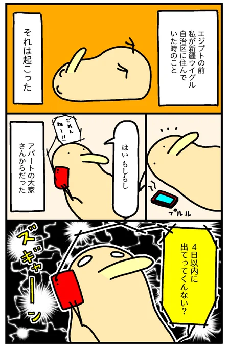 「月収5万エジプト在住 まあ死なんやろ日記」
ウイグル自治区のアパート(1/3)
(再掲) 