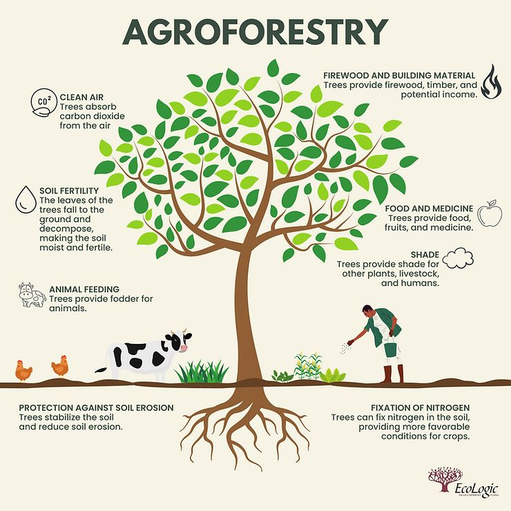 UN Biodiversity tweet media