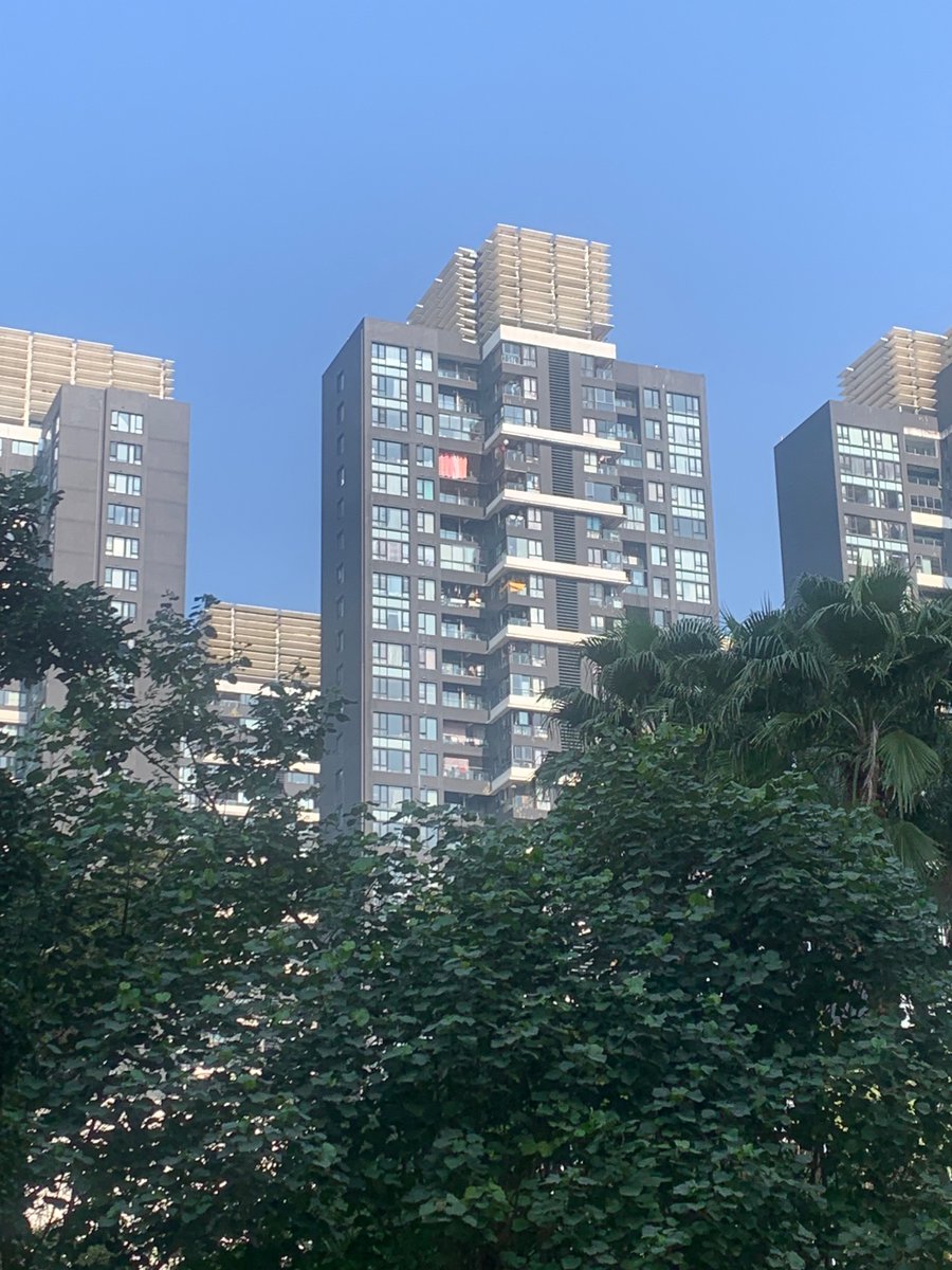 lwe88888's tweet photo. 阳光好溫暖，啲風好撚凍 https://t.co/4XQAmSqIOW