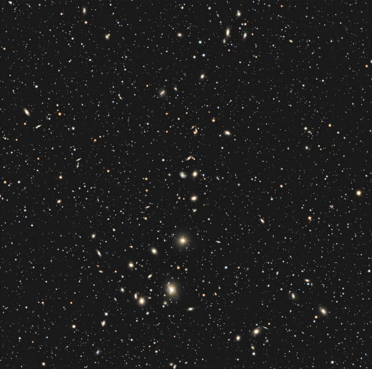 coo_xyz's tweet photo. Perseus Cluster ペルセウス座銀河団
以前はFL=1600mmで撮りましたが、もっと広角も欲しくて今回はFL=1000mmの直焦点です
Perseus A を含む平行四辺形がこと座みたいで好き❤
#130PHQ #ASI533MC #AM5 #ASI174mini #OAG #LPRO
120s x 170 Gain100 -10deg
2024/12/27
Sakai, Ibaraki, Japan https://t.co/3itKiJqyWP