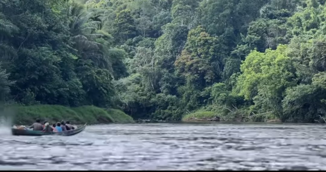 DelimaResta's tweet photo. Jadi ada yg namanya Termal Optimal dimana Terjadi Tingkat adaptasi Penghuni Ekosistem yg mencapai puncak Yg mulai dirasakan dampaknya oleh beberapa spesies jamur, Aquatik Biota dan hewan berdarah dingin.

Mereka sangat bergantung pada kestabilan suhu..

https://t.co/nmN6uZxKTd https://t.co/1HUOkzUqIt
