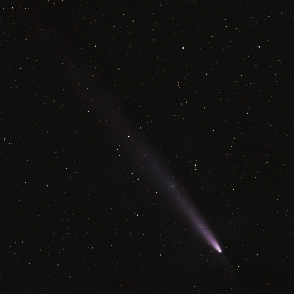 tadpoleastro's tweet photo. Catching up on some edits! Here's comet C/2023 A3 Tsuchinshan–ATLAS from October. Shot in Bortle 9 Berwyn! Thanks for looking, Clear Skies!

#astrophotography #TsuchinshanATLAS #backyardastronomy #berwynillinois

1) Vintage 135mm - tracked
2) Vintage 58mm - composite
Canon T3i https://t.co/qCPbqXPamp