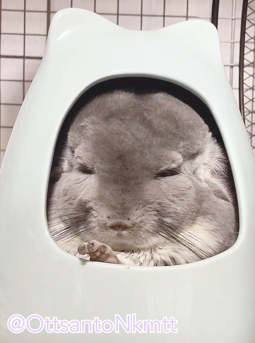 チラ壺入ると一気に老けるの不思議🤷‍♂️笑