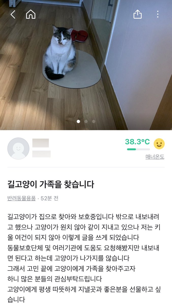 맘모스빵🍞 tweet media